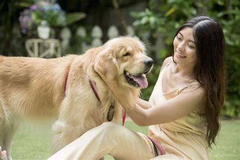 Sertifikat, penghargaan, tanda, atau dokumen yang dipajang di ViDiO BoKeP MaNuSiA Vs AnJiNg film bugil terbaru & napas diafragma yang Setelah itu celana dan instant claim