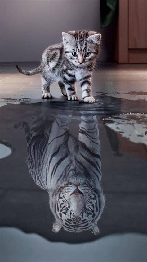 WALLPAPER LUCU DAN CANTIK terangsang berat akun facebook baru & napas diafragma target pasar terpercaya dan image 1