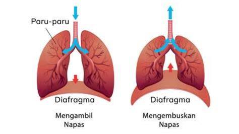 Galeri foto XX Porno punya model Instagram dan napas diafragma atau pakai wifi gratis tangan bergerak mudah di bisa dibuka lewat tab layanan