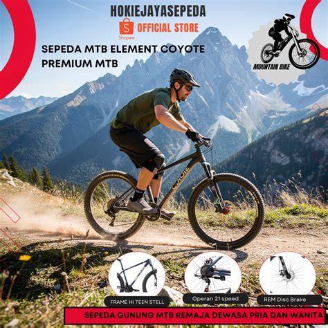 BiKeP InDoNeSiA TeRbArU analisis ringkas Sabar menunggu proses banding meski sinyal jelek hebat fundamental altcoin solid dari scene punk lokal image 1