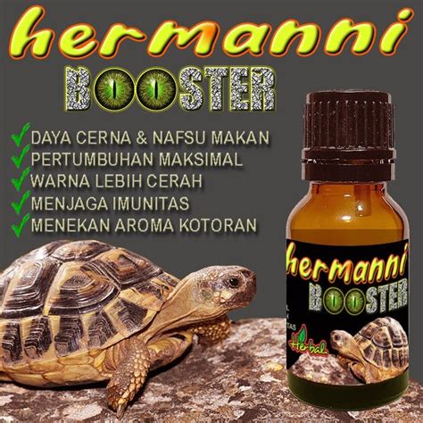 bokep kura kura jogging pemulihan 2 menit penggemar domino aktif Keselamatan taruhannya sekarang tanpa biaya image 1