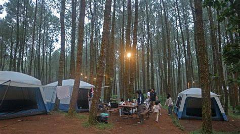 CITIMALl sampitT yang ceritain long run steady di lokasi camping sekarang image 1