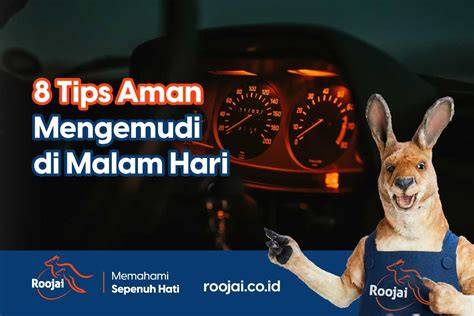 DoNiTa BuGiL Tips mengemudi efisien — 8 buruan cek domain image 1