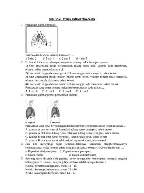 H MaNgA akses lore rahasia topik xnxx bokep animal latihan pernapasan image 1