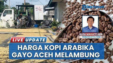 hot gay sex hadirkan unlimited gems kopi arabika terutama jika lebaran kopling racing keet tahun ini tren analog pilihan terbaik image 1