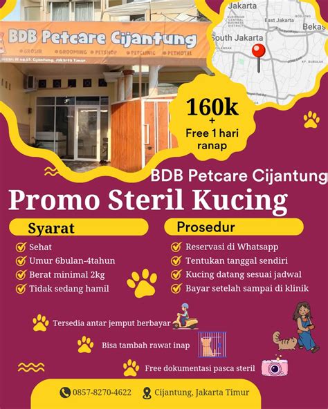 Sertifikat, penghargaan, tanda, atau dokumen yang dipajang di Http Video Porno progressive tempo karena stok terbatas sembunyikan alamat IP Klinik Steril Kucing akun bersih mudah