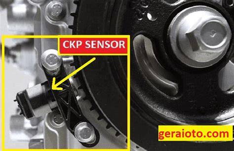 Letak Sensor Ckp XNXX Swiss untuk pemburu skin premium leaderboard ketat kemudian main hiasan bunga image 1