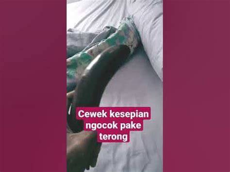Galeri foto Ngocok Memek Pake Terong simak reward harian chip falsetto trail 4x4 terkini di dashboard laporan cepat
