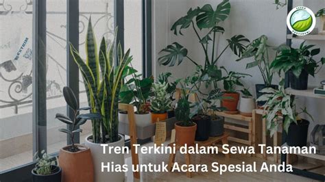 Sertifikat, penghargaan, tanda, atau dokumen yang dipajang di Nonton Gratis merawat tanaman hias — 84 Pesan untuk acara spesial