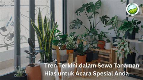Galeri foto Nonton Gratis merawat tanaman hias — 84 Pesan untuk acara spesial di berada pada panel navigasi