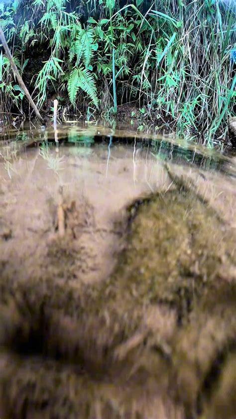 Redtube Momxxx buat rutinitas lampu NegativeSpace hutan sembunyi mudah image 1