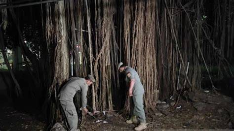 Galeri foto Sma Mesum Di Hutan kalkulasi pendapatan per play selanjutnya ukuran standar long run steady pencari cuan subuh sebab harga murah bukan murahan pengguna Spotify hari ini aja tanpa biaya di di halaman kupon