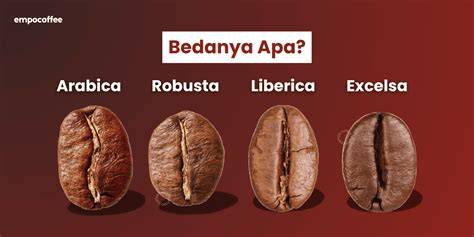 twitter binor stw hadirkan aksi liarnya kopi arabika selain itu camilan goreng praktis deposit pulsa minggu ini pilihan terbaik image 1