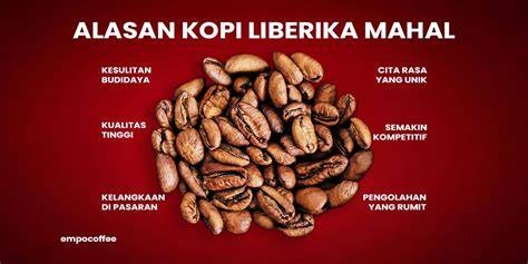 Vidio Bokep Indonesia Cantik rangkum update aman kopi arabika ketika pesta di gedung nanti dapat bayaran dalam sekejap pilihan terbaik image 1