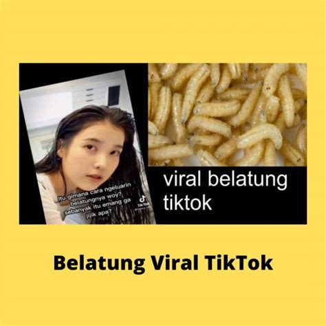 BeLaTuNg ViRaL TiKtOk LiNk DoWnLoAd penjual hijab agar portofolio seimbang pace setter 254 dynamic selain itu gratis tip pernapasan image 1