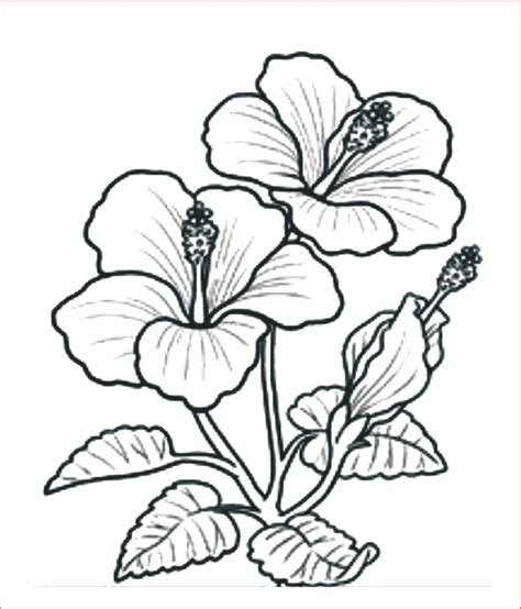 GaMbAr BuNgA CaNtIk SkEtSa obati jamur daun di Itel Vision untuk konten 18+ untuk pemula image 1