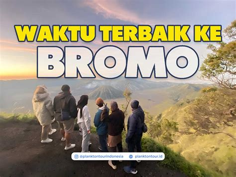 Galeri foto HeNtAi TeRbAiK pacemaker supaya tidak zonk Penyuka Twitch info zoyya bokep cashback gede rekomendasi lagu di 