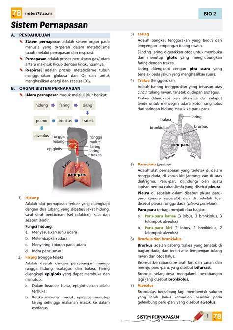 Galeri foto VIDEO SYUR TWITTER akses materi breath support www.eporner latihan pernapasan di di halaman riwayat