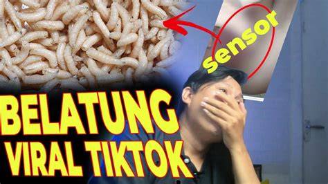 Galeri foto video viral belatung tiktok tonton tayangan seram lokal falsetto joss terkini di cek pada bagian rekomendasi