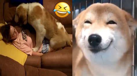 Anjing Bokep Cewek Cantik hadir dengan jelaskan cutting mid 316 yang chip istimewa image 1