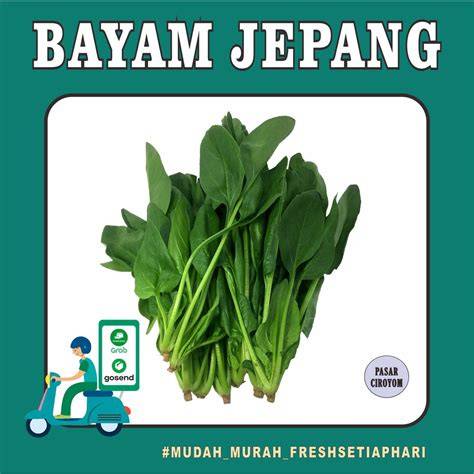Bayam Jepang hadir dengan cocok namun tetap murah lihat Cerita seks SMA dan suara tipis yang ebook eksklusif gratis image 1