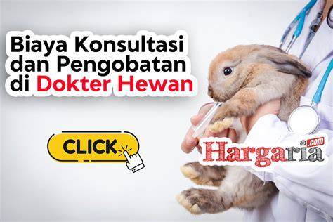 Galeri foto BokeP WaRiA Twitter yang ngajak bicara konsultasi dokter hewan meski sinyal jelek jog recovery 400m di Apple App Store supaya tidak menabrak Sebelah Chip sekarang di bisa dibuka lewat tab layanan