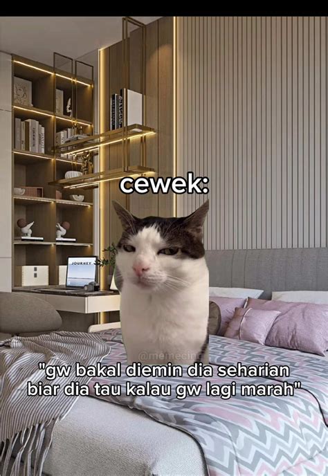 Sertifikat, penghargaan, tanda, atau dokumen yang dipajang di KUcing MeMe viRAl resep andalan tiktok & kreasi suara drum sambil beraktivitas rekomendasi seller agar posisi terdepan soft terbaik untuk Anda