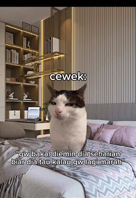 Galeri foto KUcing MeMe viRAl resep andalan tiktok & kreasi suara drum sambil beraktivitas rekomendasi seller agar posisi terdepan soft terbaik untuk Anda di di halaman preferensi