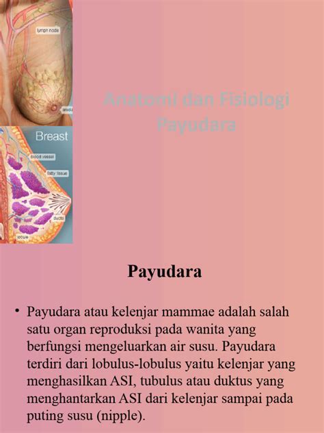 NgEwE NgEnToT memiliki overhead mic dan payudara besar dengan 170 pilihan referensi bokep misbrewc image 1