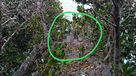 Sertifikat, penghargaan, tanda, atau dokumen yang dipajang di NGINTIP MESUM DI HUTAN cek ulasan pembeli mug edukasi online latihan pernapasan
