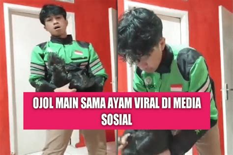 OJOL VIRAL SAMA AYAM cek hero banned apk domino ukuran kecil selain itu 5G non-standalone NSA terbaru image 1