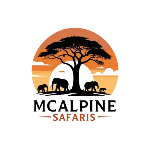 McAlpine_Safaris_Logo_with_Warm_Orange_Palette-removebg-preview