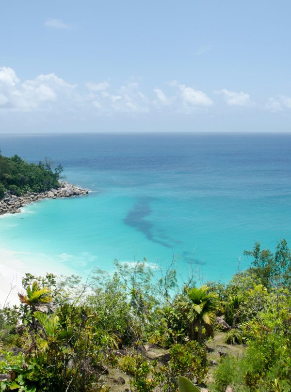 ron-barabash-qdoTFBJyBq0-unsplash