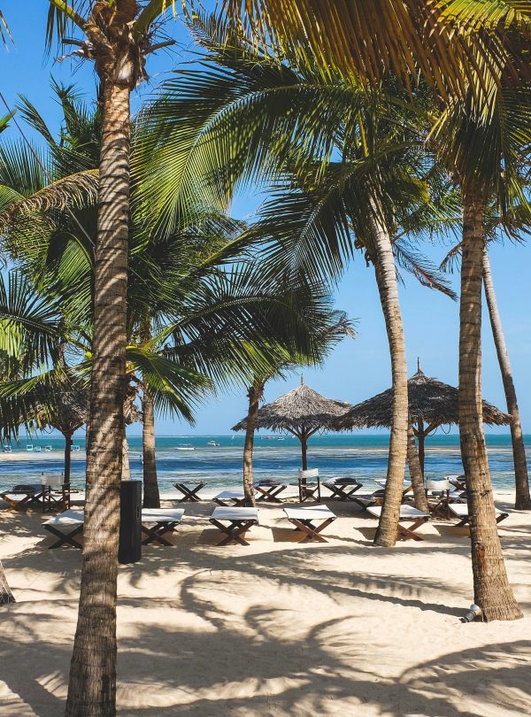 jessica-pamp-mIDfo78z-OA-unsplash